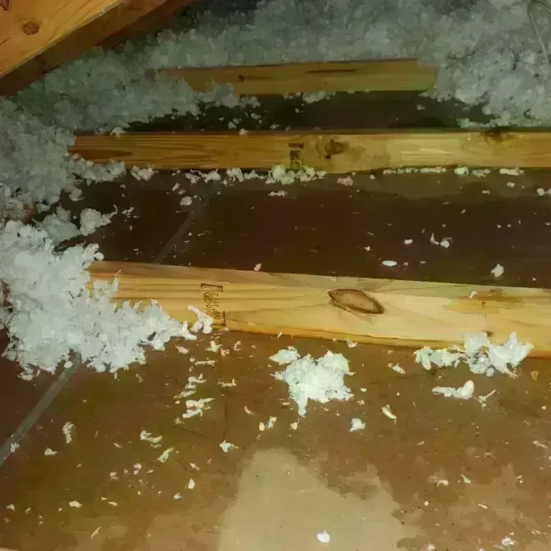 Attic Water Damage in Quakertown, PA